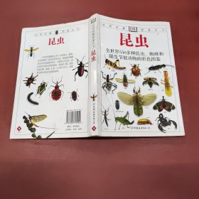 昆虫：全世界550多种昆虫、蜘蛛和陆生节肢动物的彩色图鉴