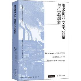 维多利亚文学、能量与生态想象