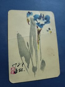 1978年历卡繁花似锦扁竹兰