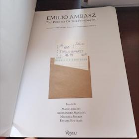 EMILIO  AMBASZ   装饰