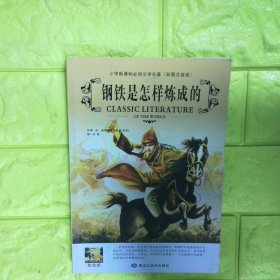 钢铁是怎样炼成的