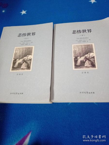 世界文学名著:悲惨世界(全译本)(套装共2册)