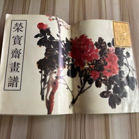 荣宝斋画谱  古代部分(七)--花卉(二)