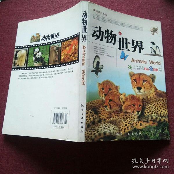 动物世界