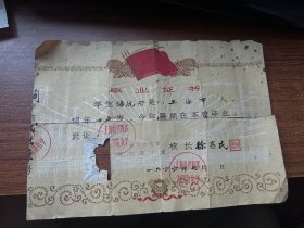 上海市普陀区洵阳路小学，毕业证书