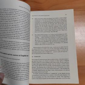 “外教社翻译硕士专业系列教材”笔译实践指南丛书：法律翻译解析