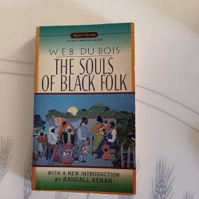 The Souls of Black Folk黑人的灵魂