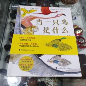当一只鸟是什么感觉 与国际鸟类学家×插画大奖得主一起， 探索鸟类独特的生活方式