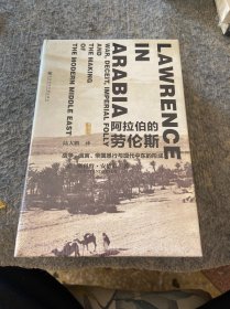 阿拉伯的劳伦斯：战争、谎言、帝国愚行与现代中东的形成