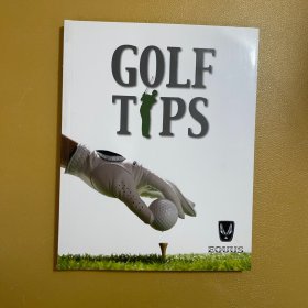 针对业余爱好者的高尔夫手册