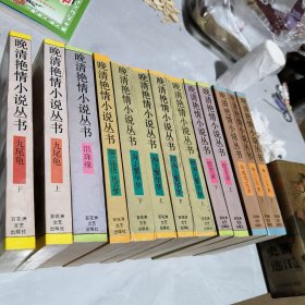 泪珠缘 海上繁华梦上下 九尾龟 梅兰佳话风月梦 续海上繁华梦上下 绘芳录上下 海上尘天影上下战地莺花录（13本合售）