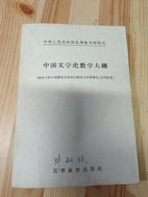 中国文学史教学大網