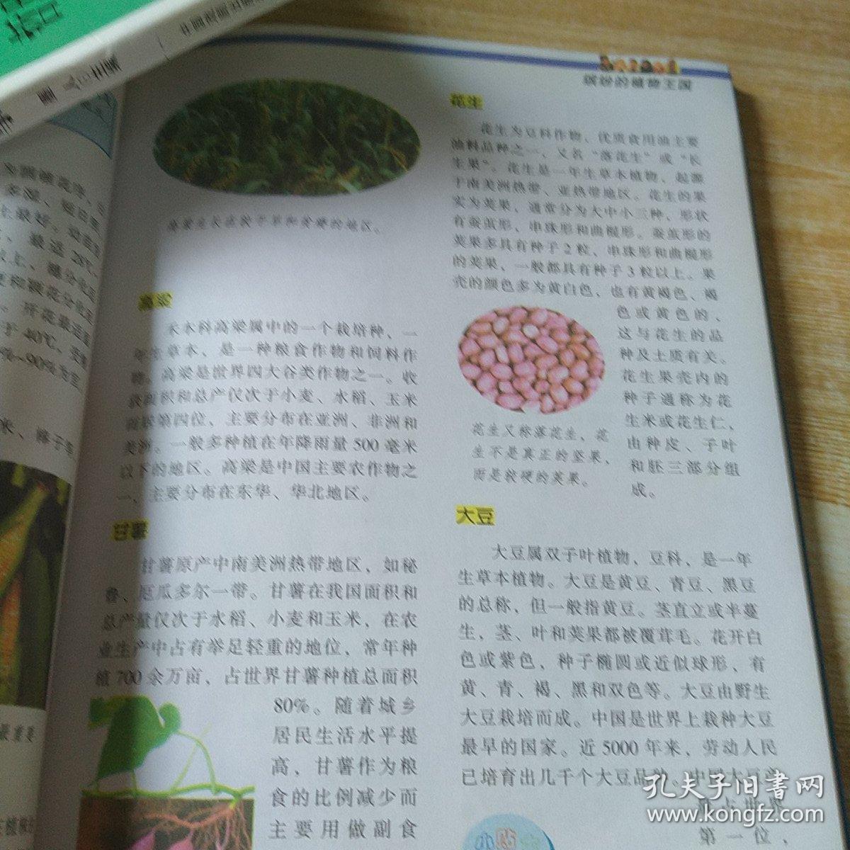 科学万事通