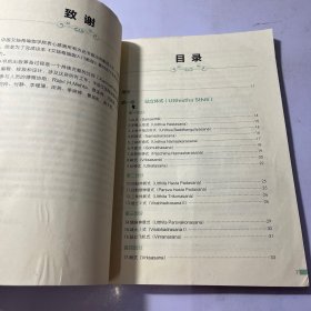 艾扬格瑜伽入门教程 有污渍