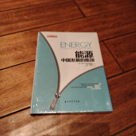 能源：中国发展的瓶颈