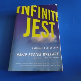 Infinite Jest