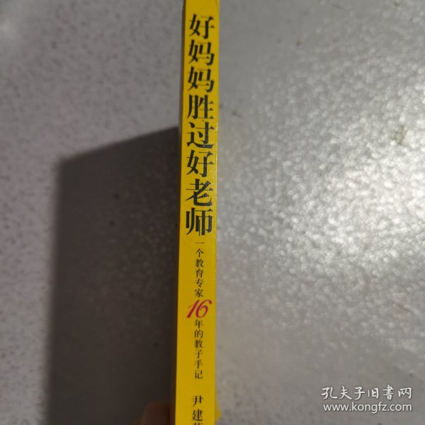 好妈妈胜过好老师：一个教育专家16年的教子手记