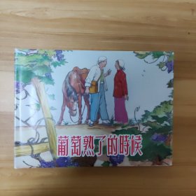 葡萄熟了的时候