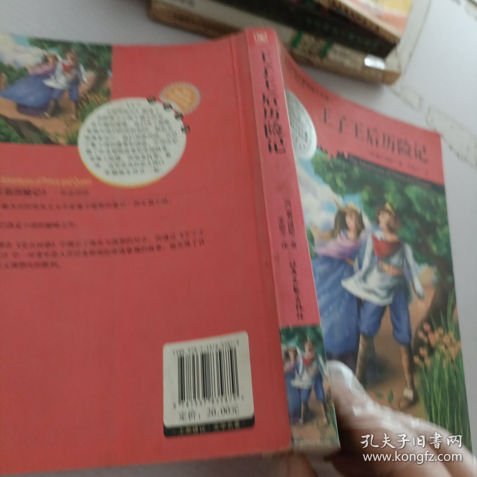王子王后历险记