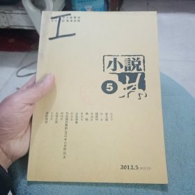 小说林2012第5期