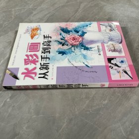 水彩画从新手到高手