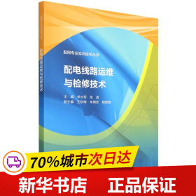 配电线路运维与检修技术（配网专业实训技术丛书）