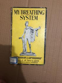 MY BREATHING SYSTEM  精装