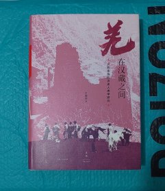 羌在汉藏之间：川西羌族的历史人类学研究（签名）