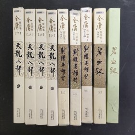 新修版金庸作品集：碧血剑 上下册、射雕英雄传2-4册、天龙八部 2-5册（共9本合售）