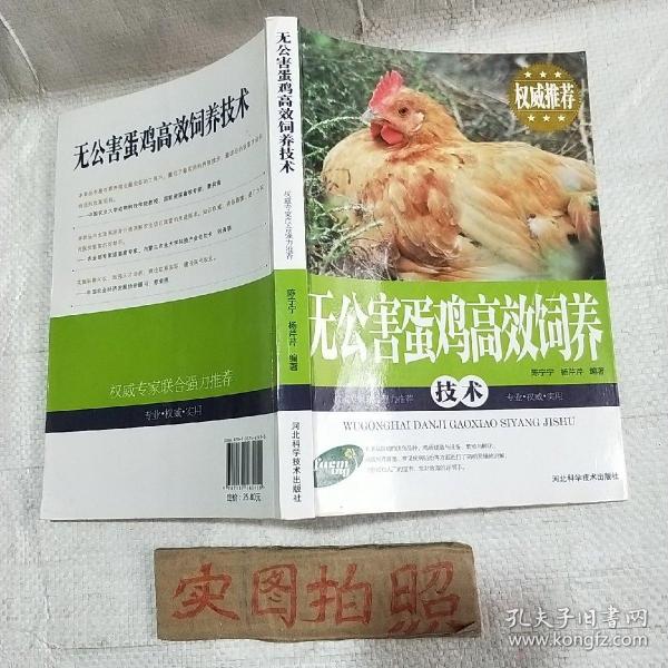 无公害蛋鸡高效饲养技术