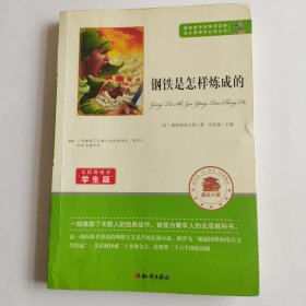 钢铁是怎样炼成的 学生版