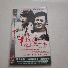 光盘DVD：幸福像花儿一样2  简装2碟