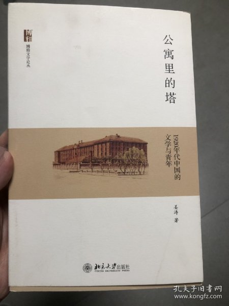 公寓里的塔：1920年代中国的文学与青年