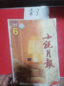 小说月报1999—6