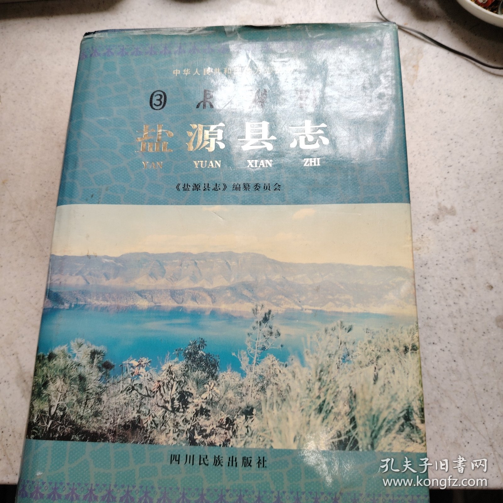 盐源县志
