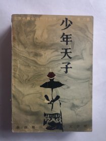 北京长篇小说创作丛书,少年天子