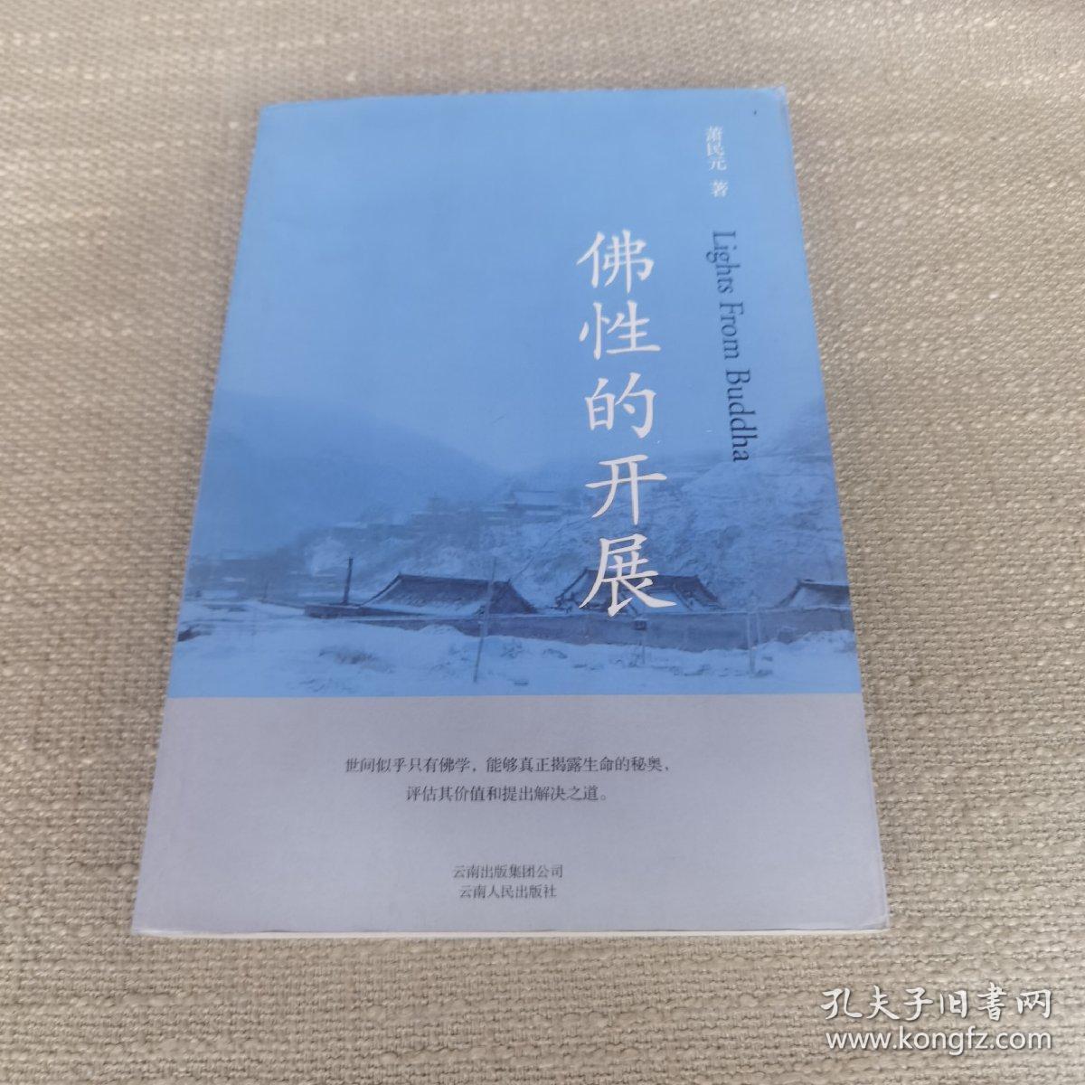 萧民元国学系列：佛性的开展