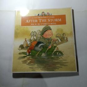 实物拍照：AftertheStorm