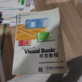 Visual Basic开发教程