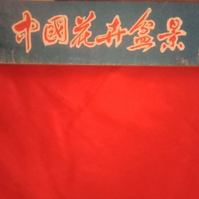 中国花卉盆景 总第28期（《茶花专辑》载文12篇；《树根艺术》专栏载文7篇；《插花艺术》专栏载文2篇；《盆景世界》专栏载文18篇；《家庭养花顾问》专栏载文8篇；《花卉珍闻》载文2篇；《趣闻与史话》载文3篇；《育花经验》1篇；《江苏农学院徐晓白研究盆景艺术的事迹》等）