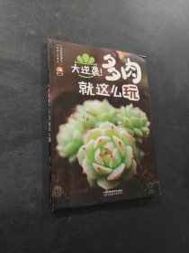 大逆袭！多肉就这么玩