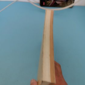 蒋经国自述,鉴名本