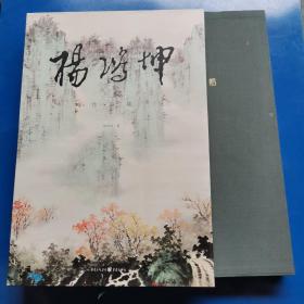 杨鸿坤作品集（8开精装 正版库存）