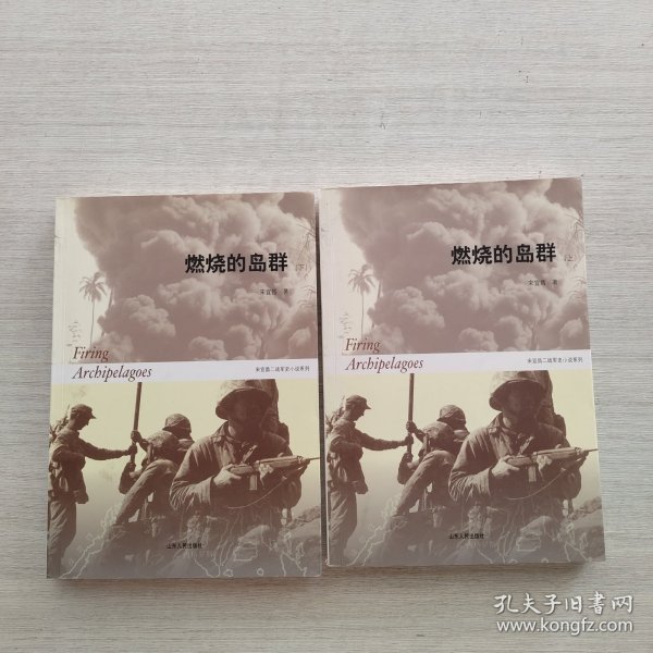 燃烧的岛群(上下)：宋宜昌二战军史小说系列