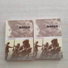 燃烧的岛群(上下)：宋宜昌二战军史小说系列