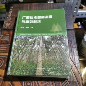 广西杉木良种选育与高效栽培