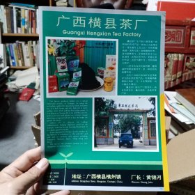 广西横县茶厂，80年代广告彩页一张