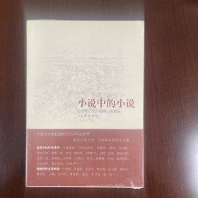 小说中的小说（亚非美洲卷）（全新塑封）（包邮）