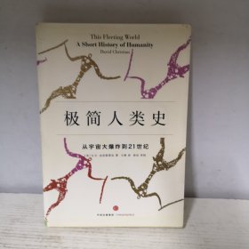 极简人类史：从宇宙大爆炸到21世纪