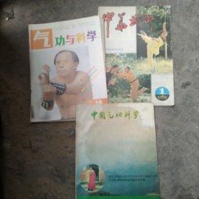 中国武术杂志3本合售如图